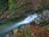 Schoßbach - Engstelle im Bachlauf